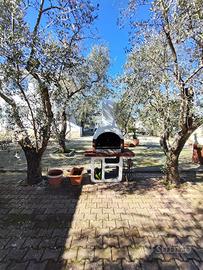 Casa vacanze a Vieste