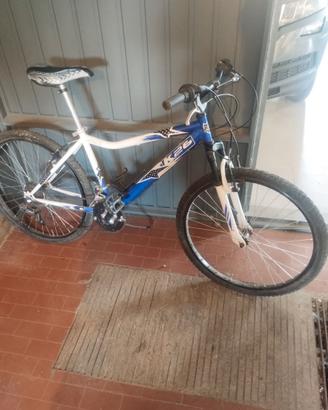 bicicletta