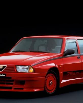 Ricambi alfa romeo 75 turbo evoluzione