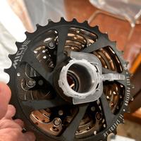 Pacco pignoni Miche Last Position 11v