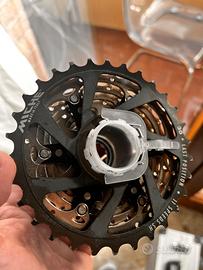 Pacco pignoni Miche Last Position 11v