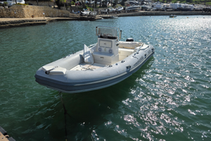 Bsc 5.30 con Suzuki 40 cv 4T