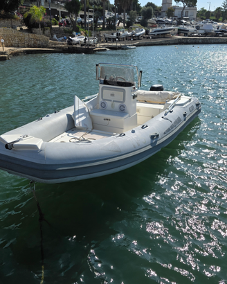 Bsc 5.30 con Suzuki 40 cv 4T