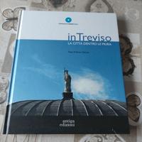 Treviso dentro Mura 2016 foto pregiate