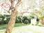 Immagine 23