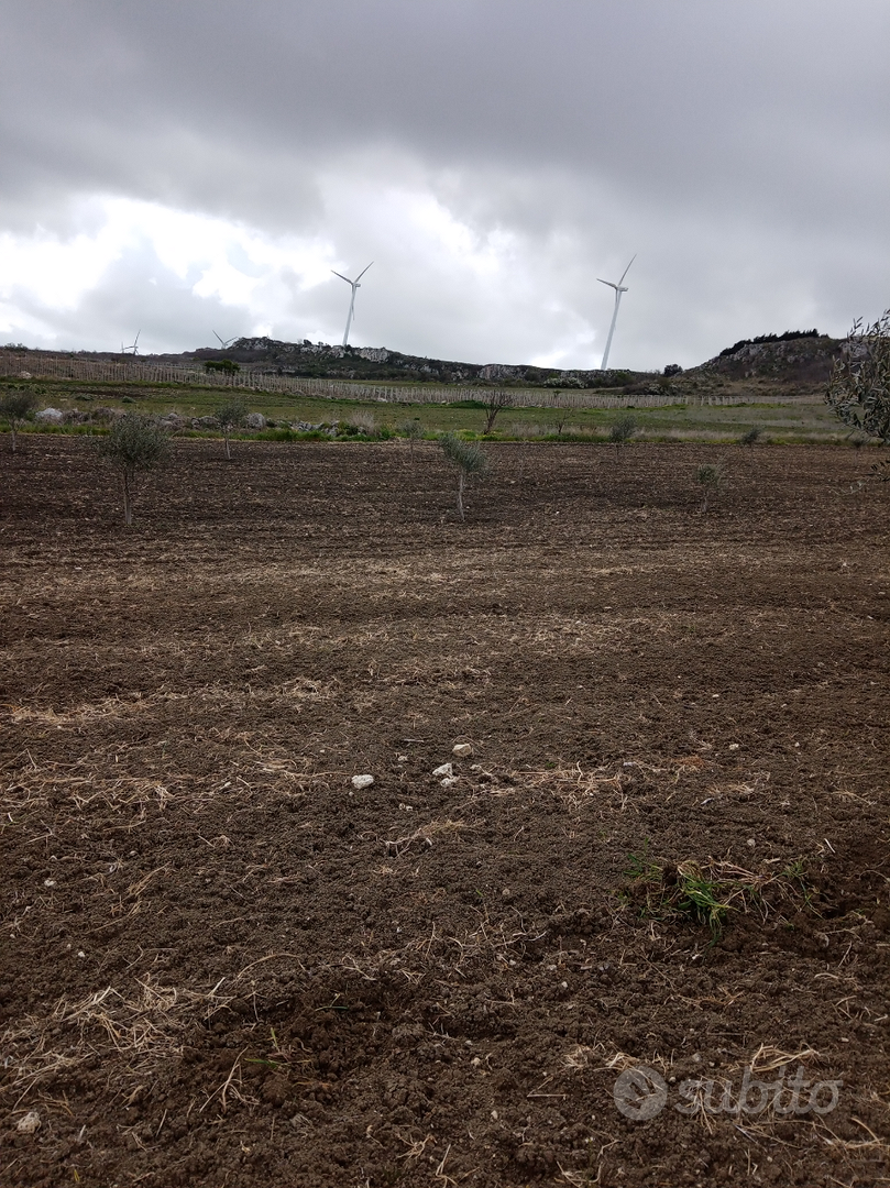 Terreno con rustico di circa 60000 (24 tumoli circ - Vista 6