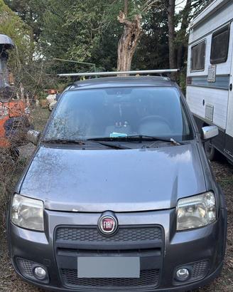 Panda  100 hp Pandeminio