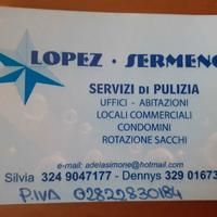Lavoro in pulizie uffici, condominio