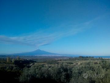 Agrumeto con vista panoramica e terreno edificale