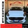 ford-fiesta-1-0-ecoboost-hybrid-125-cv-dct-5-porte