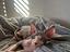 Immagine 2