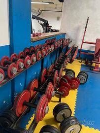 Rastrelliera manubri in ghisa