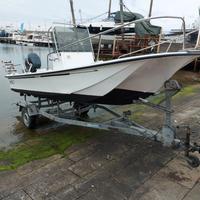 Boston Whaler 17 + Selva Dorado 40/60 hp (2009)