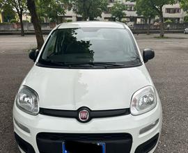 Fiat Panda 2017 GPL