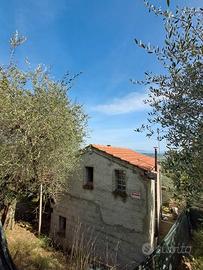 Terreno Agricolo Toscana