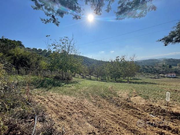 TERRENO AGRICOLO