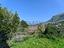 Immagine 11