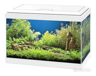 Acquario 20 LT con led e ossigenatore