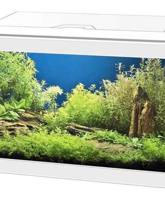 Acquario 20 LT con led e ossigenatore