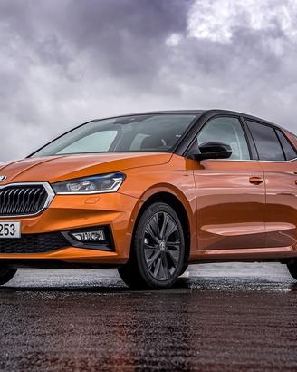 Ricambi usati skoda fabia 2021- #p