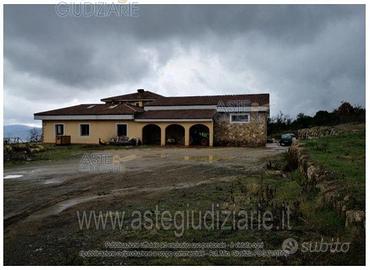 Terreno Agricolo Murlo [A4356033]