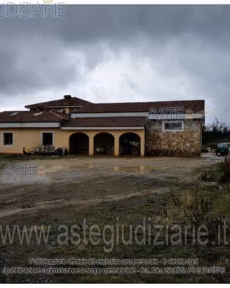 Terreno Agricolo Murlo [A4356033]