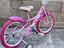 Immagine 4