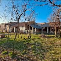 Rustico di testa di grande dimensione