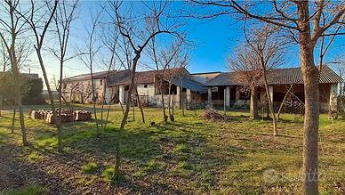 Rustico di testa di grande dimensione