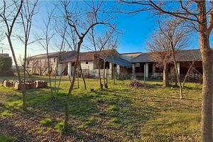 Rustico di testa di grande dimensione