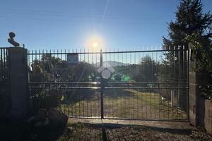 TER. AGRICOLO A BASSANO IN TEVERINA