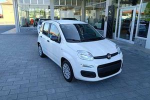 Fiat Panda Hybrid 1.0 FireFly 69cv ICON AZIENDALE