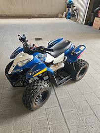 Quad Polaris 50