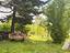 Immagine 13