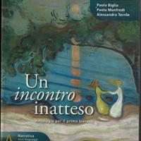 Un incontro inatteso, Volume A: Narrativa