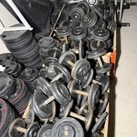 Manubri da 2,5kg al 50kg