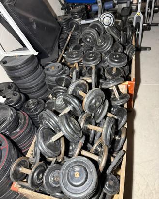 Manubri da 2,5kg al 50kg