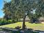 Immagine 17
