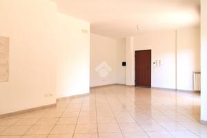 3 LOCALI A SAN SALVO