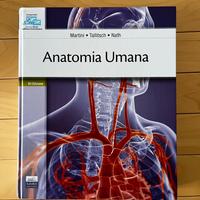 Anatomia umana