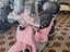 Immagine 6