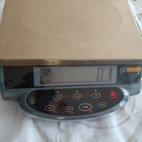Bilancia elettronica