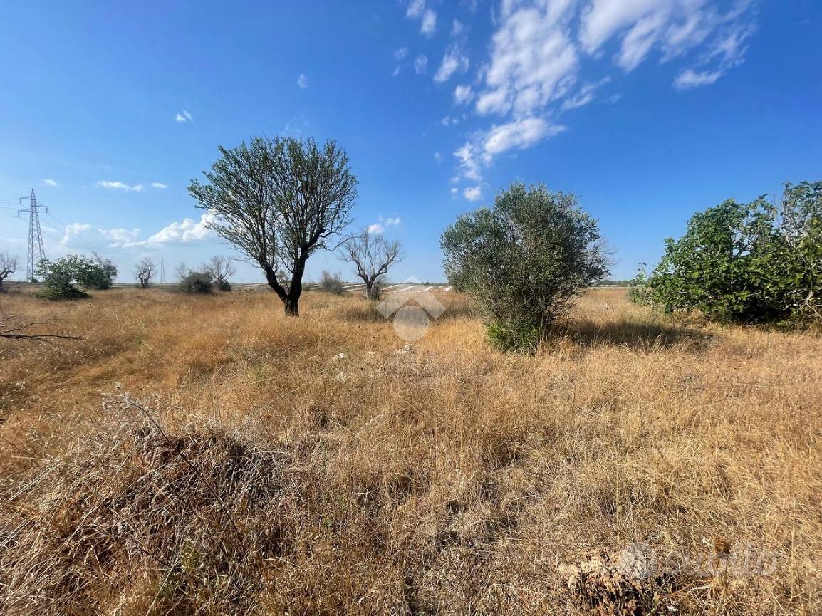RUSTICO A NARDÒ - Altro