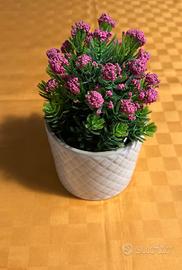 Pianta finta Ikea con foglie fucsia