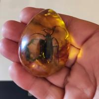 Antico pendente a goccia, in ambra 100% originale