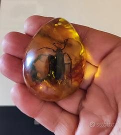 Antico pendente a goccia, in ambra 100% originale