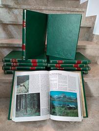 enciclopedia degli animali 