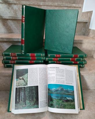 enciclopedia degli animali 
