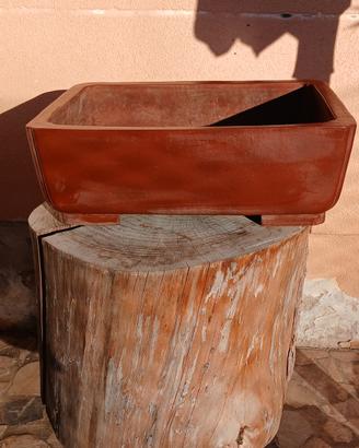 vaso bonsai 