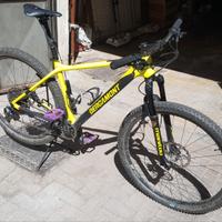 Bergamont Revox sport (gruppo Scott) - L